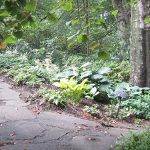 Landscape Architects Montgomery County