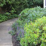 Landscape Architects Montgomery County