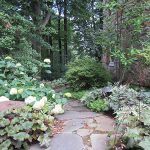 Landscape Architects Montgomery County