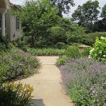 Landscape Architects Chester County