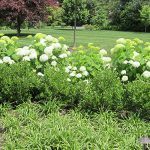 Landscape Architects Chester County