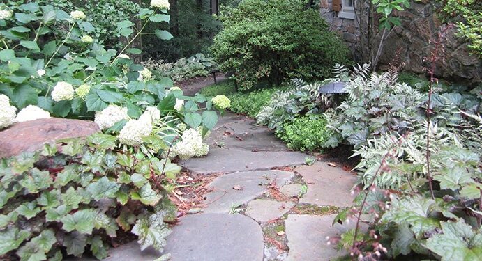 Landscape Architects Wilmington